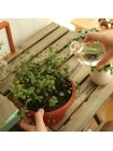 Стеклянный контролер для полива комнатных растений