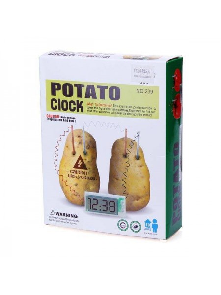 Детский развивающий набор для опытов "Часы из картошки"