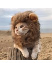 Костюм львенок для кота