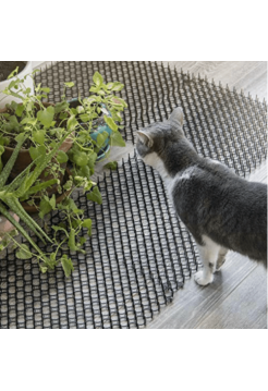 Цветочная защита растений от кошек (10 шт.)