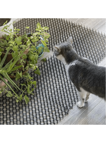 Цветочная защита растений от кошек (10 шт.)