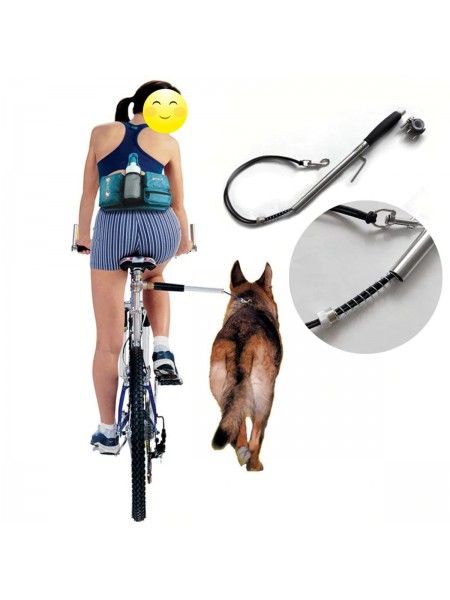 Велоспрингер для прогулки собак