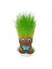 Кукла с растущей травой на голове (травянчик)